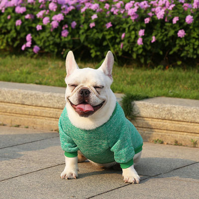Verbessern Sie den Winterschrank Ihres Haustiers mit französischen Bulldoggenkleidern
