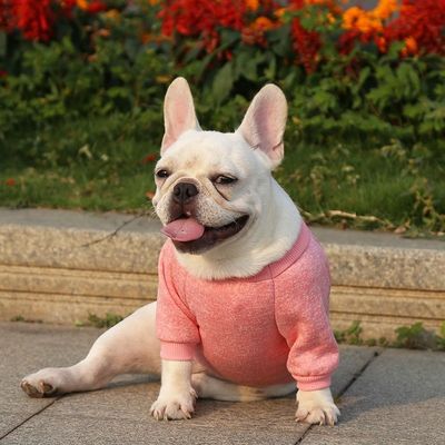 Gewirkte Hundehocker aus Polyester Pullover für kleine Hunde Luxusbekleidung Zubehör