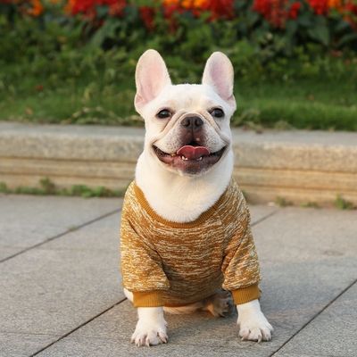 Komfortable und nachhaltige Haustiere Hunde- und Katzen-T-Shirts Bekleidung Accessoires Typ Pullover Pullover
