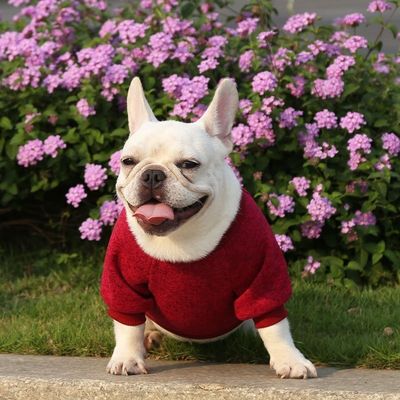 Komfortable und nachhaltige Haustiere Hunde- und Katzen-T-Shirts Bekleidung Accessoires Typ Pullover Pullover