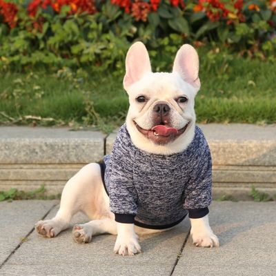 Polyester Herbst- und Winterkleidung für Haustiere