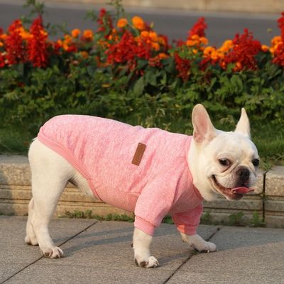 Polyester Herbst- und Winterkleidung für Haustiere