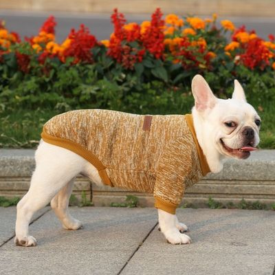 Casual Style Winterhundekleidung Winddichte und warme Haustierkleidung für kleine Hunde