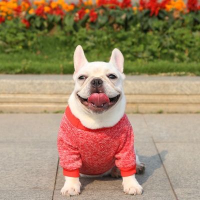 Outdoor-Kleidung Farbenfrohe rosa Rotgrüne Kleidung Hundepullover Pullover für den Herbst-Winter
