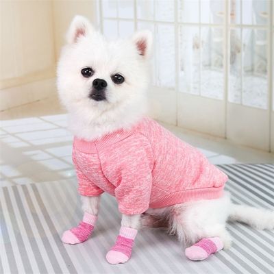 Bleiben Sie modisch und gemütlich mit diesen rosa/blauen Hundesocken, die Sie in der Wintersaison unbedingt tragen müssen