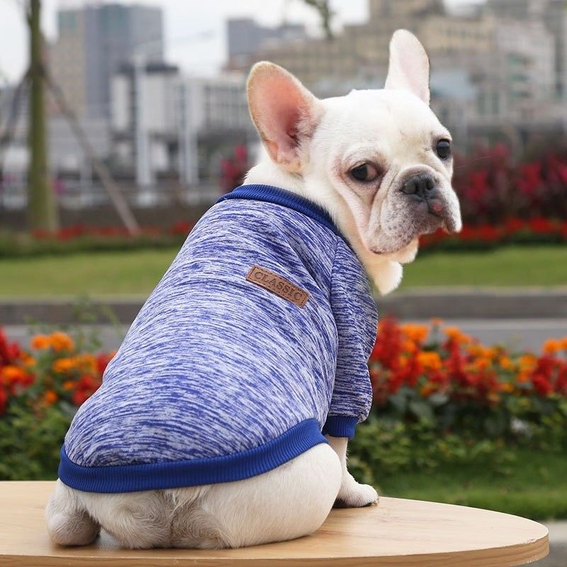 Polyester Herbst- und Winterkleidung für Haustiere