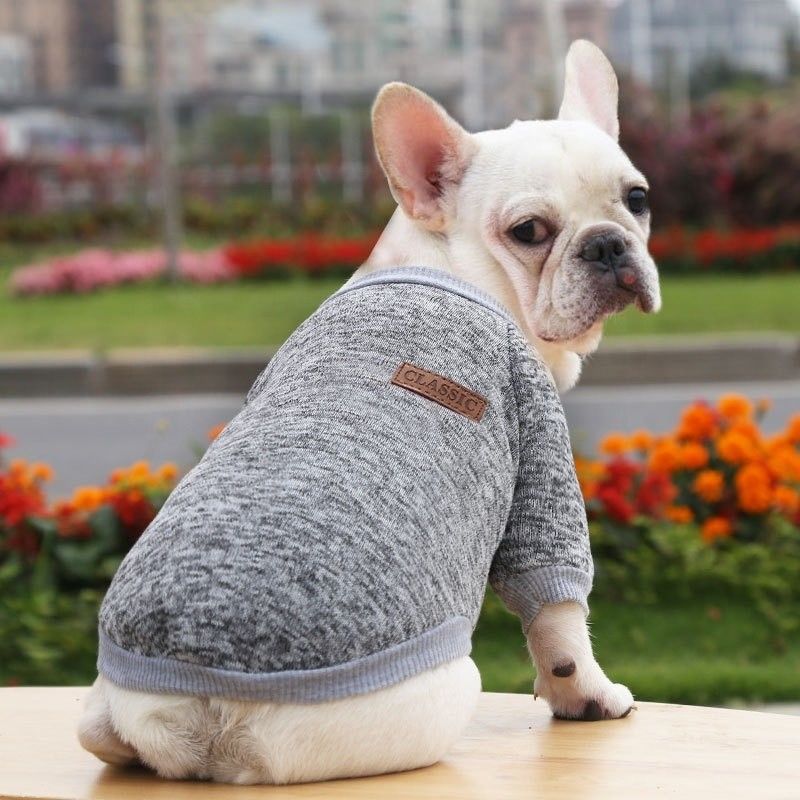 Casual Style Winterhundekleidung Winddichte und warme Haustierkleidung für kleine Hunde
