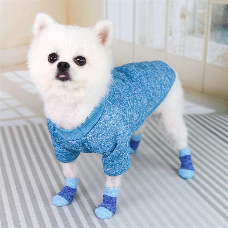 Bleiben Sie modisch und gemütlich mit diesen rosa/blauen Hundesocken, die Sie in der Wintersaison unbedingt tragen müssen
